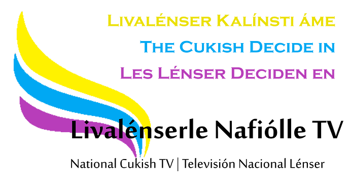 LLNTV elections
