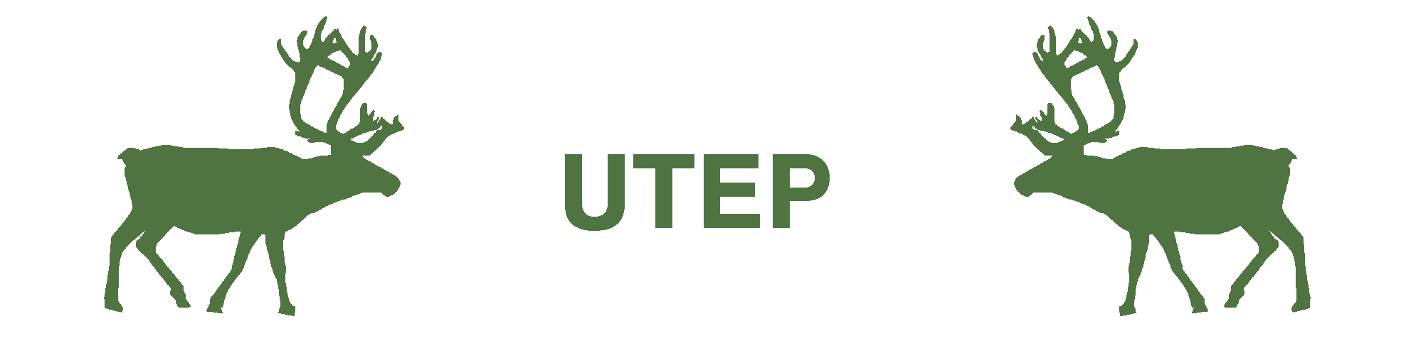 Campaign Banner - UTEP
