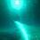 tk0110
